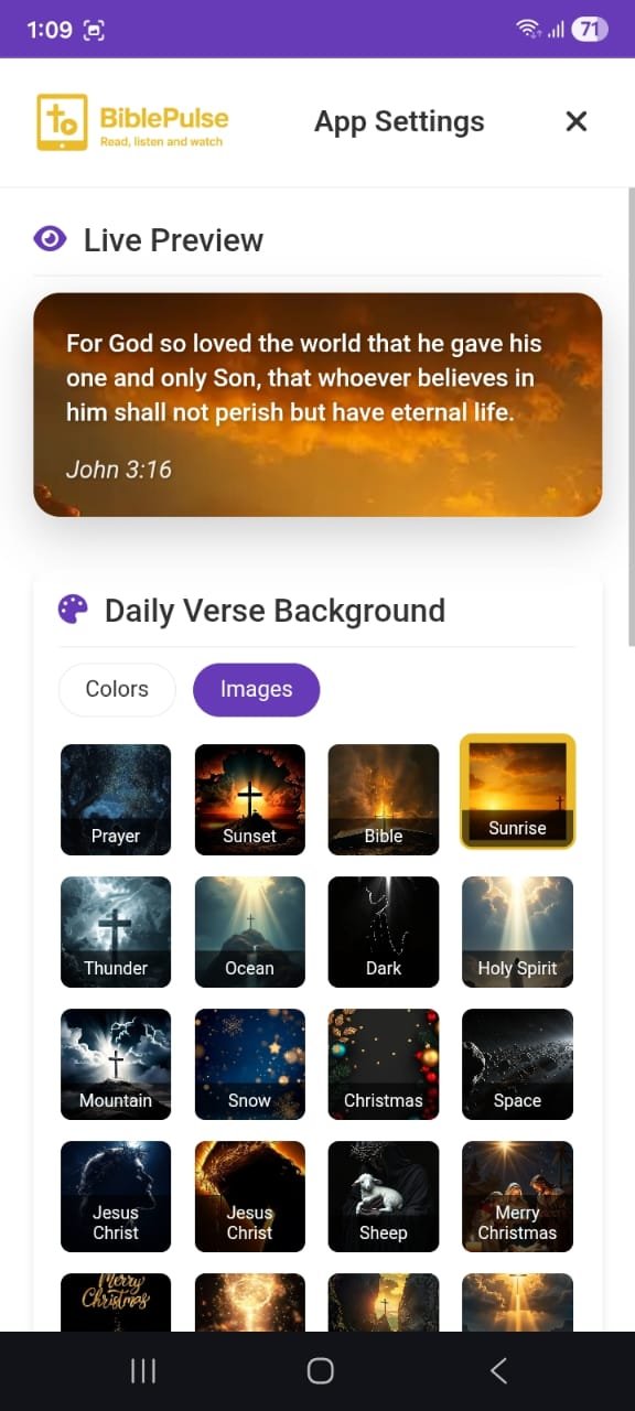 BiblePulse - App Settings Screen for Preferences